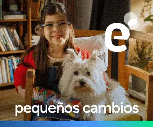 spot_img
