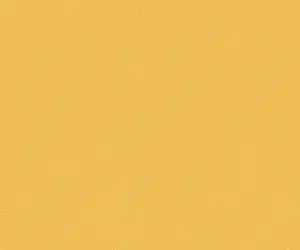 spot_img