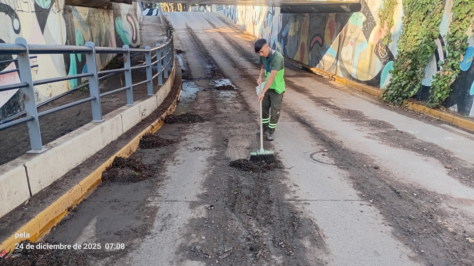 WhatsApp Image 2025 12 24 at 8.29.55 AM 1